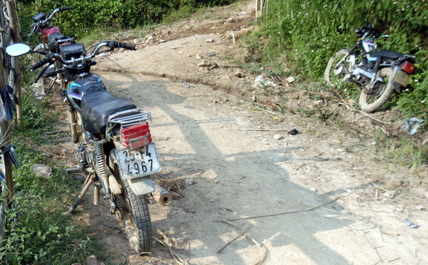 Rừng gỗ pơmu Hoàng Liên-Văn Bàn đang bị "xẻ thịt" ảnh 2