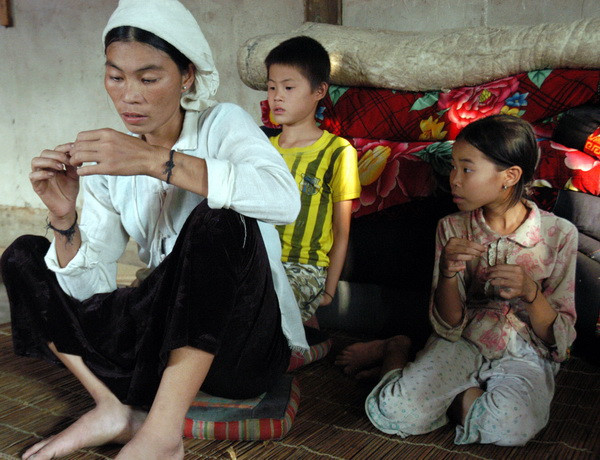 Rừng gỗ pơmu Hoàng Liên-Văn Bàn đang bị "xẻ thịt" ảnh 1