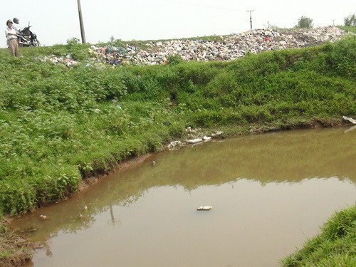 Đê sông Đáy ở tỉnh Nam Định bị đe dọa nghiêm trọng ảnh 1