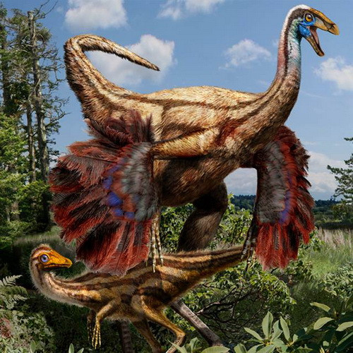 Phát hiện khủng long lông vũ Ornithomimid ở Bắc Mỹ ảnh 1 Phát hiện khủng long lông vũ Ornithomimid ở Bắc Mỹ ảnh 1