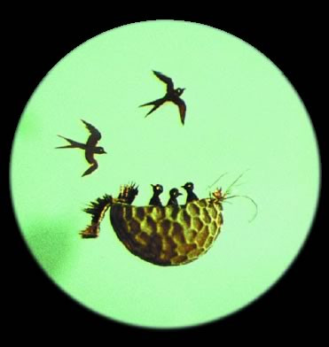 Kinh ngạc với những tuyệt tác nghệ thuật siêu nhỏ ảnh 9