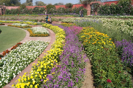 Mughal Gardens - Xứ sở của các loài cây và hoa ảnh 2