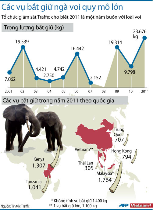 Voi Thái Lan bị giết lấy ngà, xẻ thịt cho nhà hàng ảnh 1