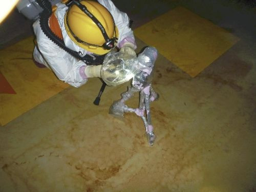 TEPCO tiết lộ ảnh cuộc xâm nhập lò phản ứng số 2 ảnh 1