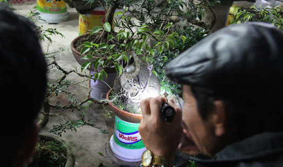 Thức trắng đêm cùng phiên chợ Viềng Âm dương ảnh 2