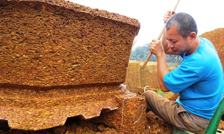 Giữ nét quê qua những bức tượng đá ong xứ Đoài ảnh 1