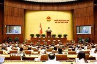 Quang cảnh phiên họp. (Ảnh: Doãn Tấn/TTXVN)