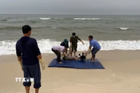 Thi thể nạn nhân được phát hiện trôi dạt tại bờ biển thôn Tân Định, xã Ninh Châu. (Ảnh: TTXVN phát)