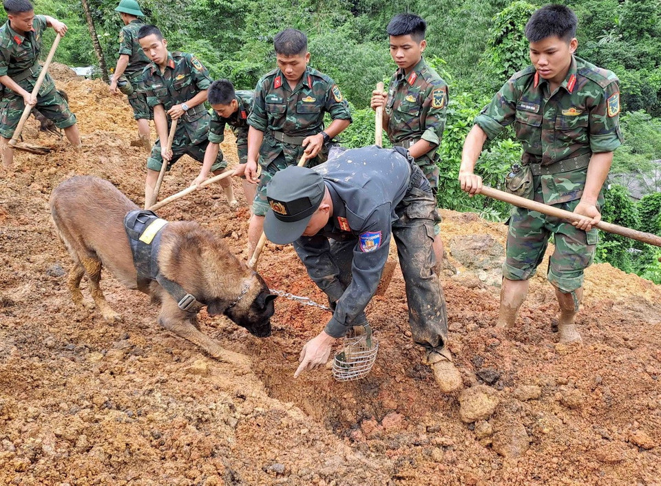 Các lực lượng chức năng đưa chó nghiệp vụ vào hiện trường vụ sạt lở đất trên quốc lộ 34 làm 11 người chết tại tỉnh Hà Giang tìm kiếm người mất tích. (Ảnh: Đức Thọ/TTXVN)