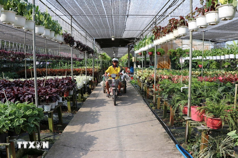 Vườn hoa cảnh tại Khu du lịch vui chơi miệt vườn Happy Land Hùng Thy, cơ sở đạt tiêu chuẩn du lịch OCOP 4 sao tỉnh Đồng Tháp. (Ảnh: Minh Hưng/TTXVN)