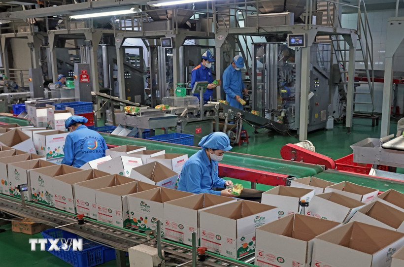 Công ty TNHH Long Hải, Cụm công nghiệp 1, phường Thạch Khôi, thành phố Hải Phòng, mỗi năm sản xuất hàng trăm tấn sản phẩm tiêu thụ trong nước và xuất khẩu. (Ảnh: Trần Việt/TTXVN)