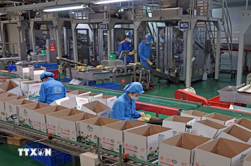 Công ty TNHH Long Hải, Cụm công nghiệp 1, phường Thạch Khôi, thành phố Hải Phòng, mỗi năm sản xuất hàng trăm tấn sản phẩm tiêu thụ trong nước và xuất khẩu. (Ảnh: Trần Việt/TTXVN)