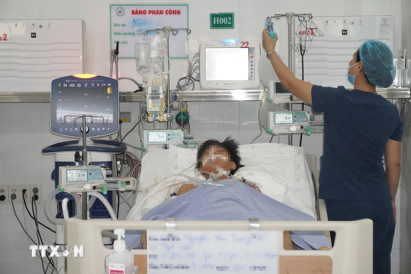 Ảnh minh họa. (Ảnh: Lê Xuân/TTXVN)