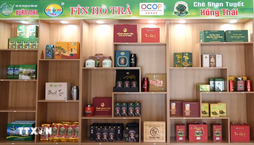 Các sản phẩm trà OCOP của tỉnh Tuyên Quang được trưng bày tại điểm giới thiệu sản phẩm. (Ảnh: Minh Tâm/TTXVN)