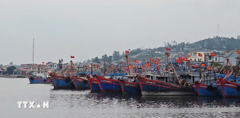 Một khu neo đậu tàu thuyền tại cảng cá. (Ảnh: Hoa Mai/TTXVN)