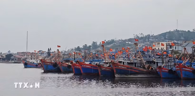 Một góc khu neo đậu tàu thuyền tại cảng cá. (Ảnh: Hoa Mai/TTXVN)