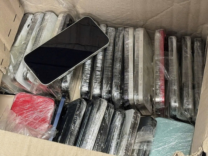 Tang vật bị lực lượng Hải quan phát hiện, thu giữ. (Nguồn: Cục Hải quan)