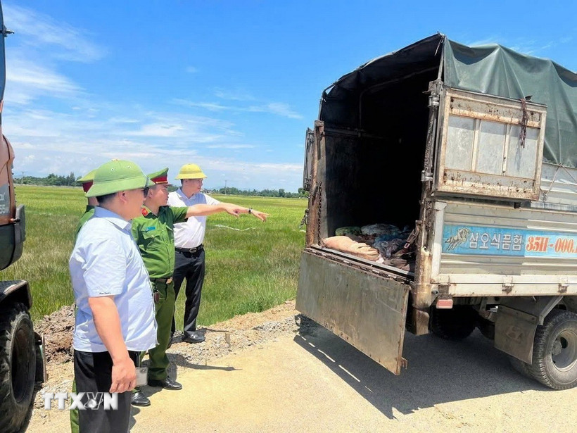 Lực lượng chức năng Hà Tĩnh kiểm tra, phát hiện và thu giữ hơn 1 tấn lòng, mỡ, da trâu bò không rõ nguồn gốc xuất xứ, bốc mùi hôi trên xe tải. (Ảnh: TTXVN phát)
