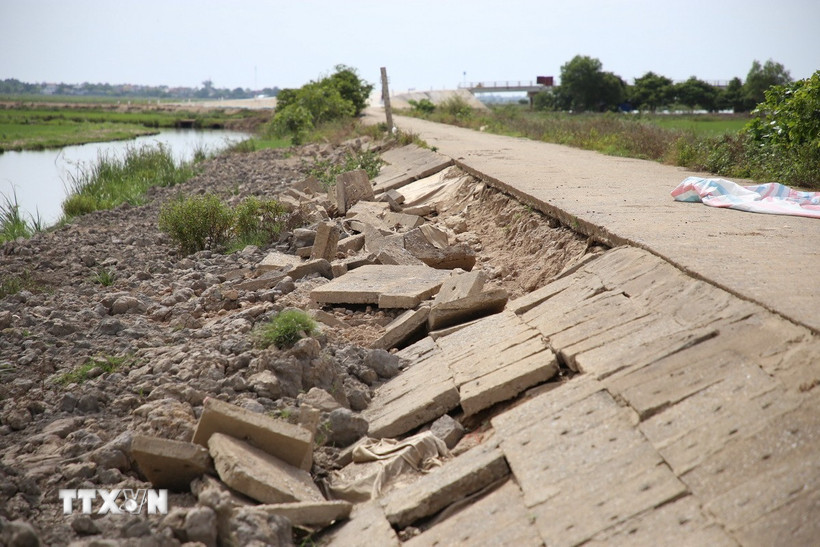 Sạt lở, xói mòn nghiêm trọng trên tuyến đê bao bảo vệ vùng trồng lúa trọng điểm phía Nam tỉnh Quảng Trị. (Ảnh: Thanh Thủy/TTXVN)