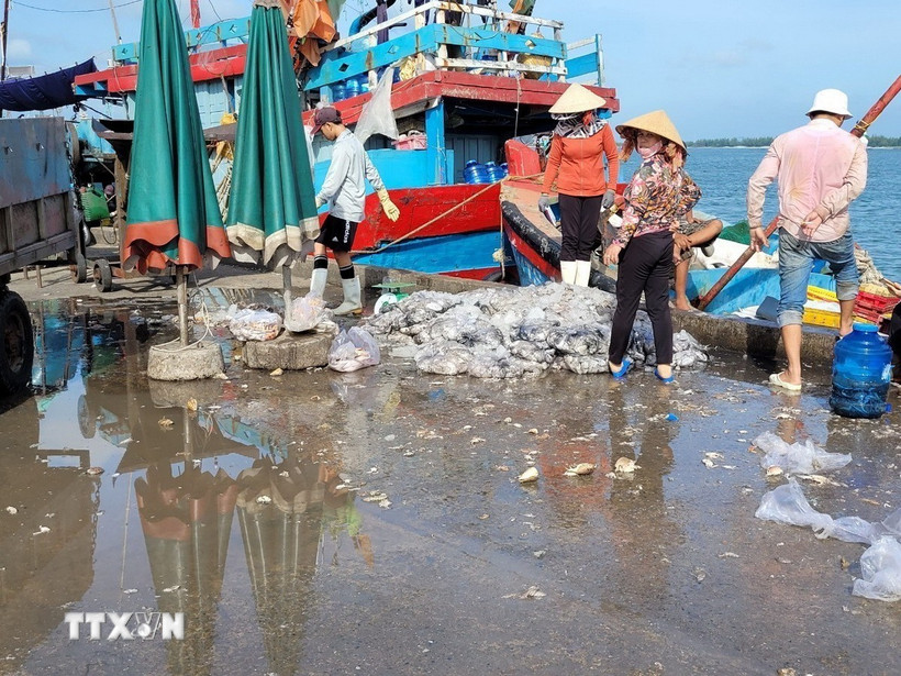 Nhếch nhác tại cảng cá Tân Phước, xã Long Hải, Thành phố Hồ Chí Minh. (Ảnh: Hoàng Nhị/TTXVN)