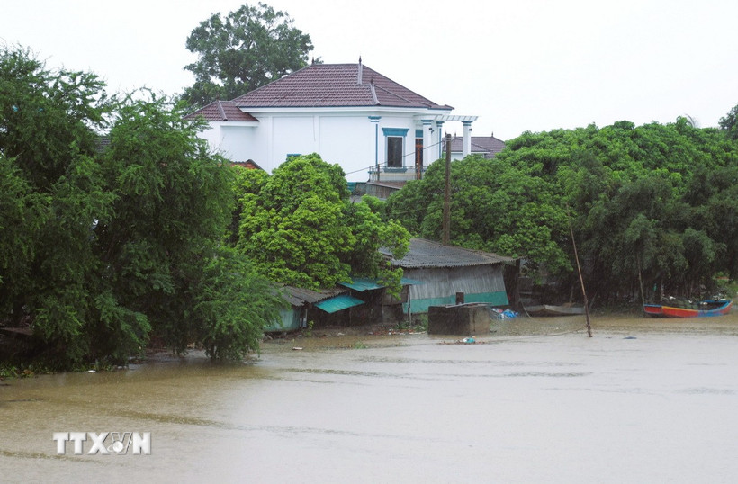 (Ảnh minh họa: Xuân Tiến/ TTXVN)