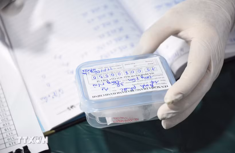(Ảnh minh họa: Đậu Tất Thành/TTXVN)