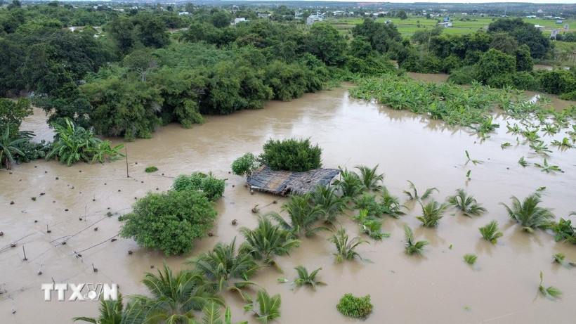 Nhiều nhà cửa, hoa màu của người dân phường Hàm Thắng (Lâm Đồng) bị ngập sâu trong nước lũ. (Ảnh: Nguyễn Thanh/TTXVN)