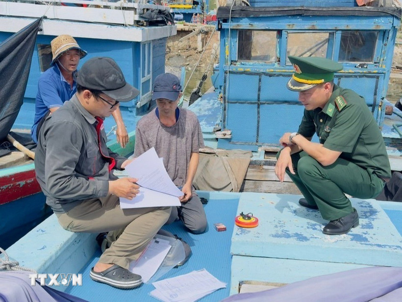 Lực lượng chức năng tỉnh Quảng Ngãi kiểm tra giấy tờ tàu cá. (Ảnh: TTXVN phát)