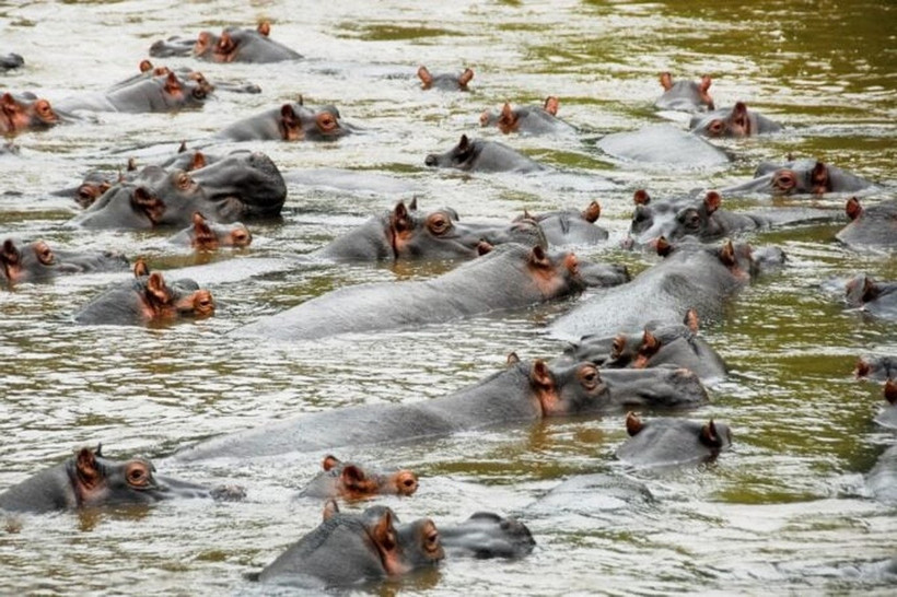 (Nguồn: Shutterstock)