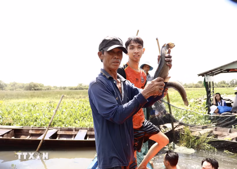 Nông dân và du khách khoe thành phẩm dỡ chà cá. (Ảnh: Hồng Nhung/TTXVN)