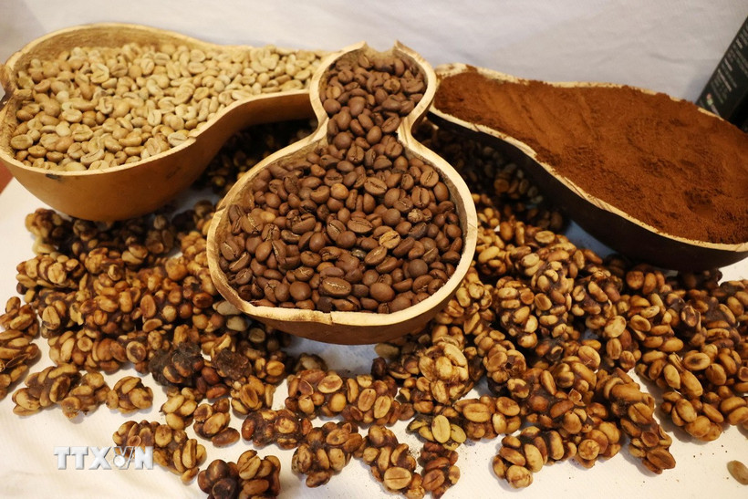 Càphê Arabica nối dài chuỗi 7 phiên tăng giá. (Ảnh: Hoài Thu/TTXVN)