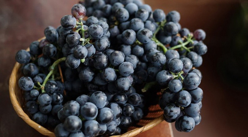 Nho đen. (Nguồn: Healthline)