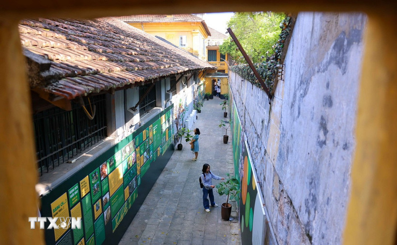 Trưng bày "Bàng ơi…!" được thiết kế theo bảng màu chủ đạo với sắc xanh - vàng, lấy cảm hứng từ những gam màu của lá bàng với điểm nhấn là những cây bàng được minh hoạ theo sắc bàng bốn mùa trong năm. (Ảnh: Thanh Tùng/TTXVN)