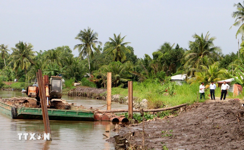 Gia cố đoạn sạt lở Đê bao sông Măng Thít qua xã Tân Long Hội, tỉnh Vĩnh Long. (Ảnh: Lê Thúy Hằng/TTXVN)
