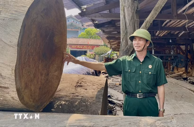 Cựu chiến binh Trần Văn Phú (ở thôn Thanh Khê, xã Bắc Trạch, tỉnh Quảng Trị) là một trong những điển hình tiêu biểu về phát triển kinh tế và tích cực trong các hoạt động sẻ chia vì cộng đồng. (Ảnh: Võ Dung/TTXVN)