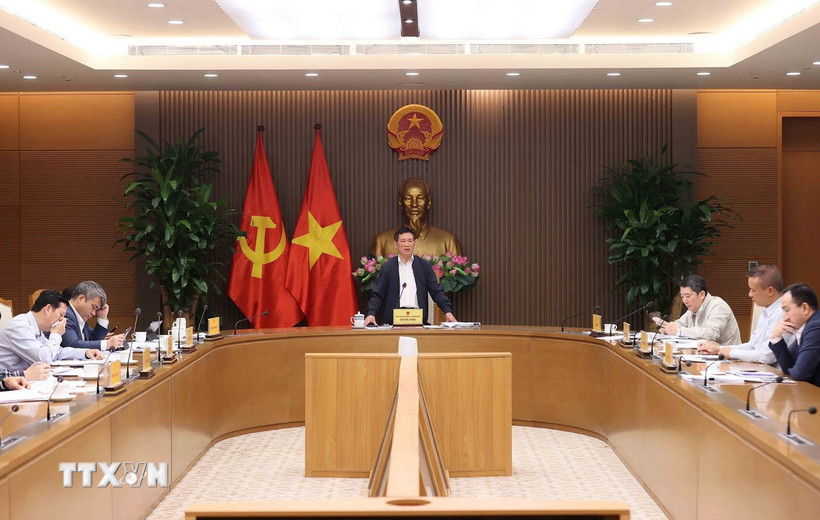 Phó Thủ tướng Hồ Đức Phớc chủ trì cuộc họp về dự thảo Nghị định cơ cấu lại vốn nhà nước tại doanh nghiệp. (Ảnh: An Đăng/TTXVN)