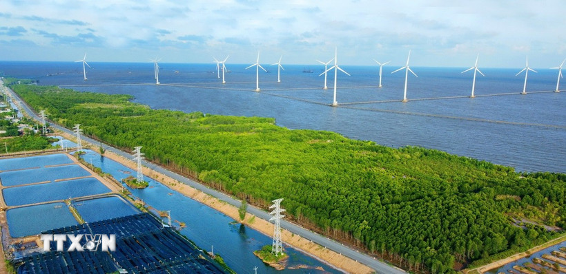 Cánh đồng điện gió Cà Mau. (Ảnh: Chanh Đa/TTXVN)