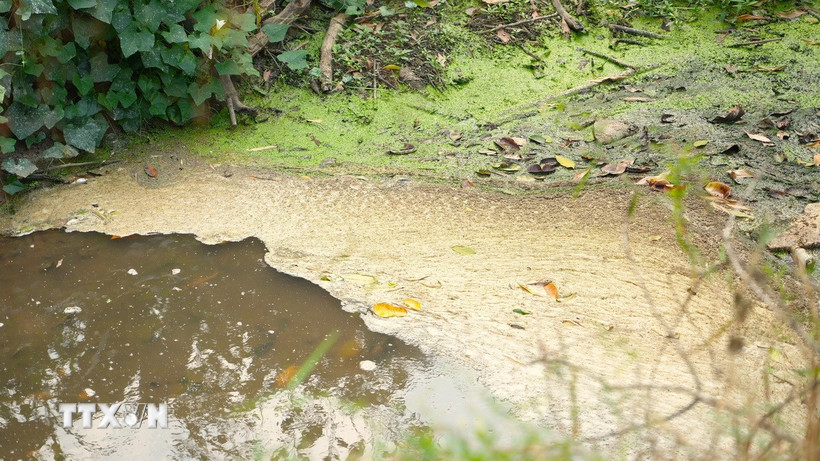 Ảnh minh họa. (Nguồn: TTXVN)