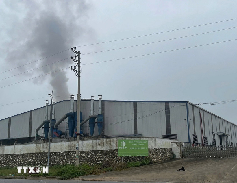 Công ty trách nhiệm hữu hạn ngành gỗ MERIDA vẫn thản nhiên hoạt động, xả khói ra môi trường. (Ảnh: Đinh Thùy/ TTXVN)
