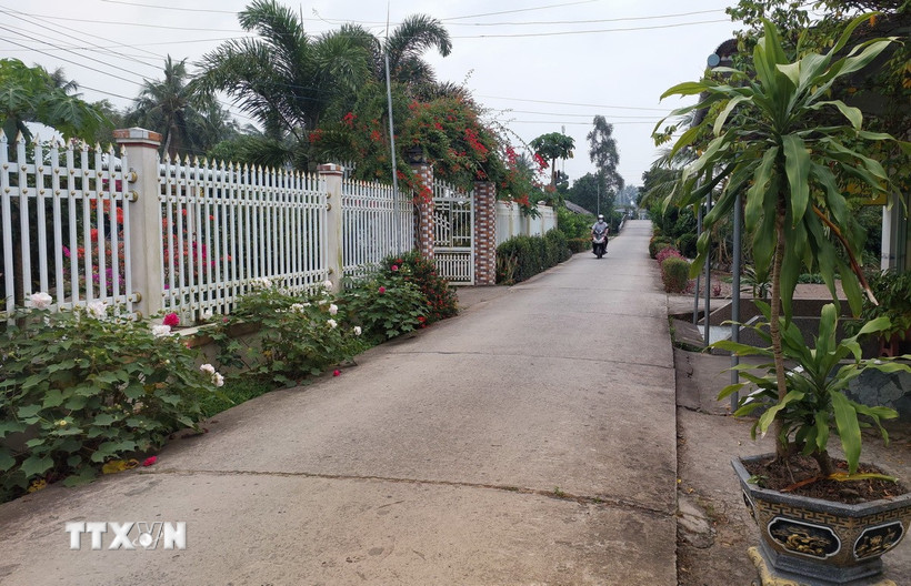 Đường giao thông nông thôn tại Cà Mau được bêtông hóa. (Ảnh: Tuấn Kiệt/TTXVN)