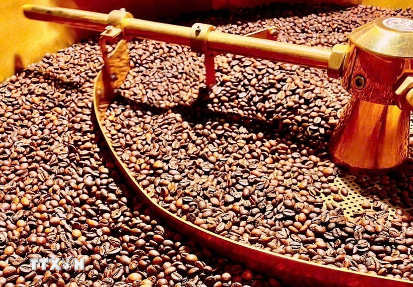 Ảnh minh họa. (Nguồn: Hồng Điệp/TTXVN)