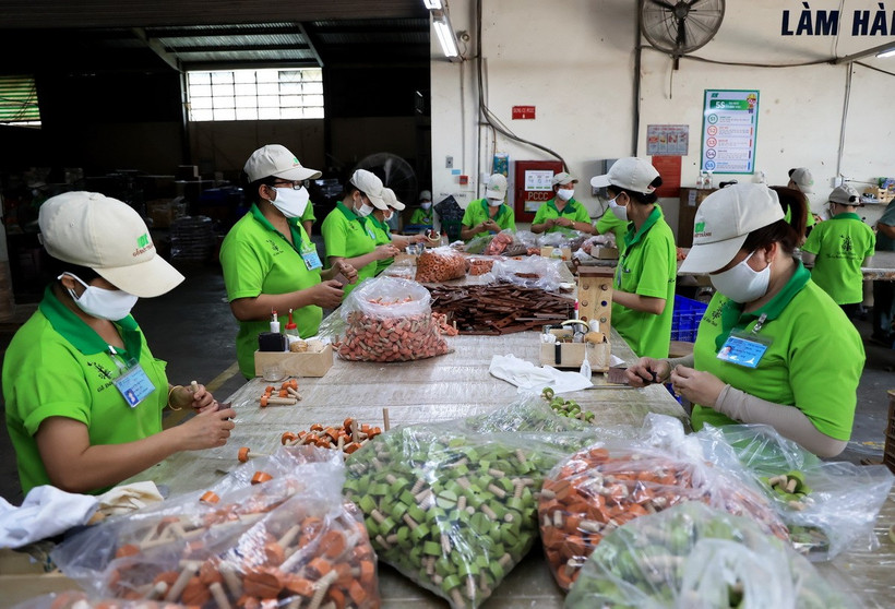 Sản xuất đồ chơi trẻ em tại Công ty cổ phần chế biến Gỗ Đức Thành, quận Gò Vấp, Thành phố Hồ Chí Minh. (Ảnh: Hồng Đạt/TTXVN)