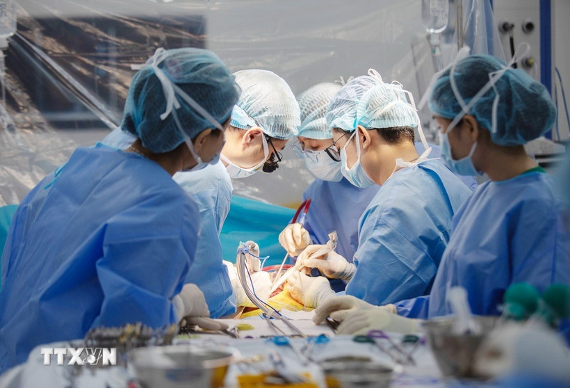 Các bác sỹ Bệnh viện Quân y 175 thực hiện ghép gan cấp cứu cứu sống bệnh nhân suy gan cấp hôn mê 4 ngày. (Ảnh: TTXVN phát)