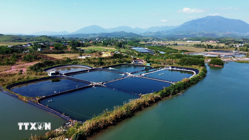 Vùng nuôi trồng thủy sản tại xã Đường Hoa (Quảng Ninh). (Ảnh: Đức Hiếu/TTXVN)