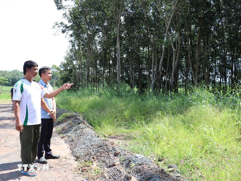 Anh Lâm Hảo, ngụ tại ấp 3 (xã Nha Bích) bàn giao đất 0,7ha để triển khai dự án cao tốc Gia Nghĩa-Chơn Thành. (Ảnh: K GỬIH/TTXVN)
