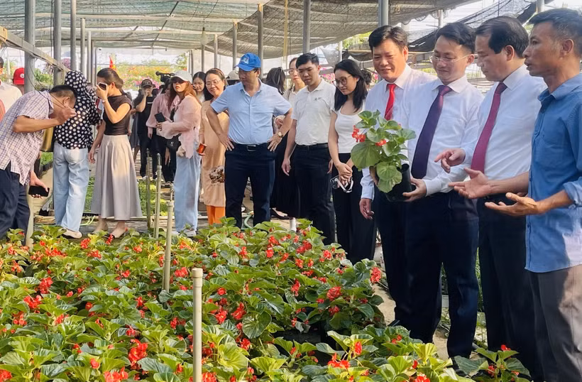 Các đại biểu đi thăm, khảo sát làng hoa cây cảnh Tích Giang, xã Phúc Thọ. (Ảnh: Tuyết Mai/TTXVN)