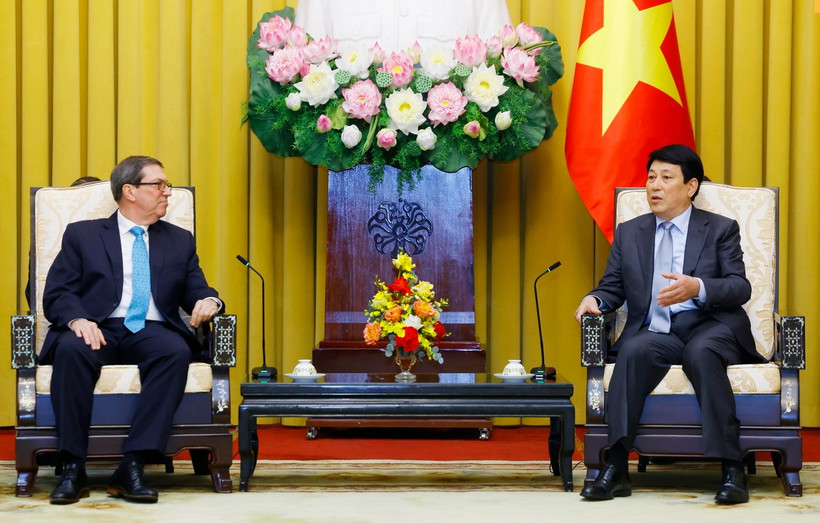 Chủ tịch nước Lương Cường tiếp Bộ trưởng Ngoại giao Cuba Bruno Rodríguez Parrilla. (Ảnh: Lâm Khánh/TTXVN)