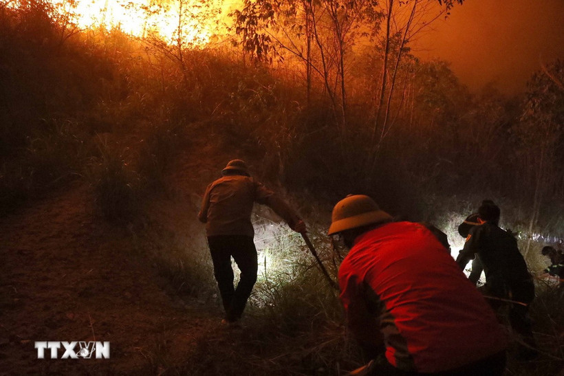 Lực lượng chữa cháy tích cực tạo các hào chữa cháy, ngăn lửa lan sang khu vực khác. (Ảnh: Hoàng Hùng/TTXVN)