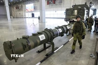 Một loại tên lửa hành trình của Nga tại Kubinka, ngoại ô Moskva ngày 23/1/2019. (Ảnh: AP/TTXVN)