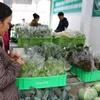 Việc số hóa sẽ giúp các hộ kinh doanh có khả năng tiếp cận vốn vay dễ dàng hơn. (Ảnh: Vietnam+)